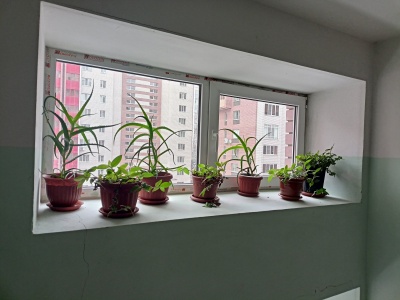 Двор пр. Музрукова 37, г. Саров - 10.jpg